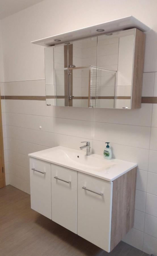 Ferienwohnung Berger ラインハルトシュドルフ＝シェーナ エクステリア 写真